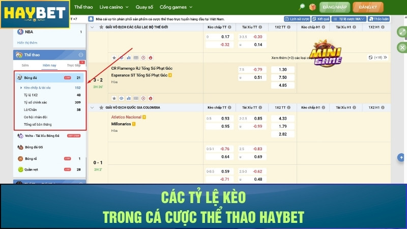 Các tỷ lệ kèo trong cá cược thể thao Haybet Các tỷ lệ kèo trong cá cược thể thao Haybet