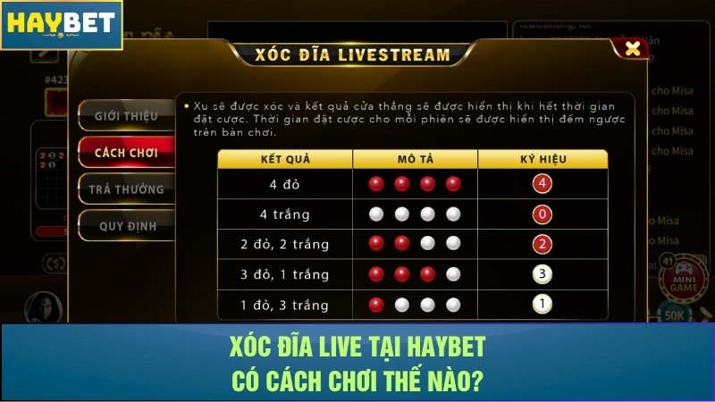 Xóc đĩa live tại Haybet có cách chơi thế nào? Xóc đĩa live tại Haybet có cách chơi thế nào?