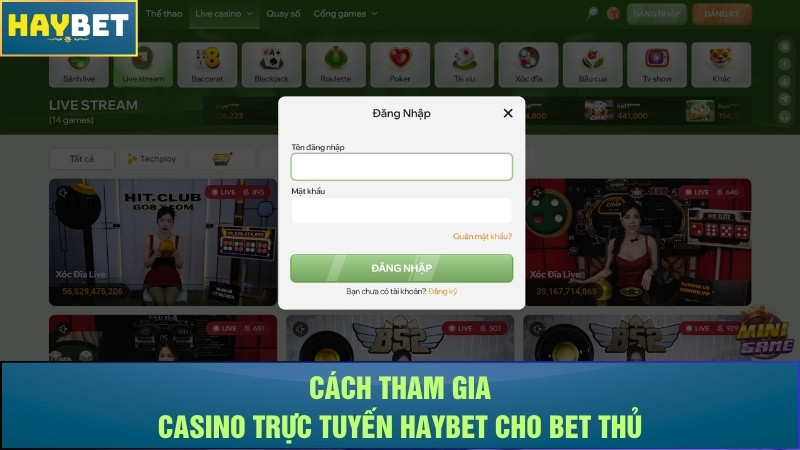 Cách tham gia casino trực tuyến Haybet cho bet thủ Cách tham gia casino trực tuyến Haybet cho bet thủ