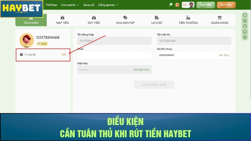 Điều kiện cần tuân thủ khi rút tiền Haybet Điều kiện cần tuân thủ khi rút tiền Haybet