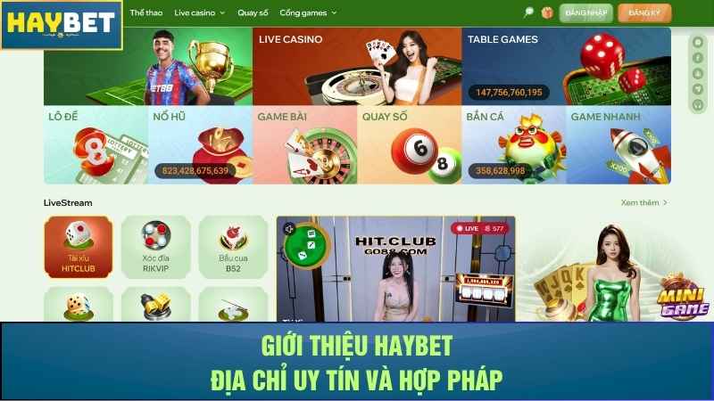 Giới thiệu Haybet - Địa chỉ uy tín và hợp pháp Giới thiệu Haybet - Địa chỉ uy tín và hợp pháp