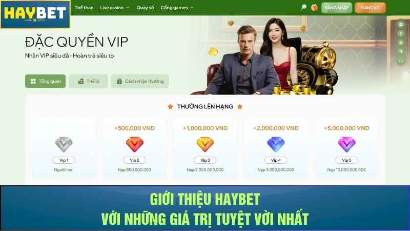 Giới thiệu Haybet với những giá trị tuyệt vời nhất Giới thiệu Haybet với những giá trị tuyệt vời nhất