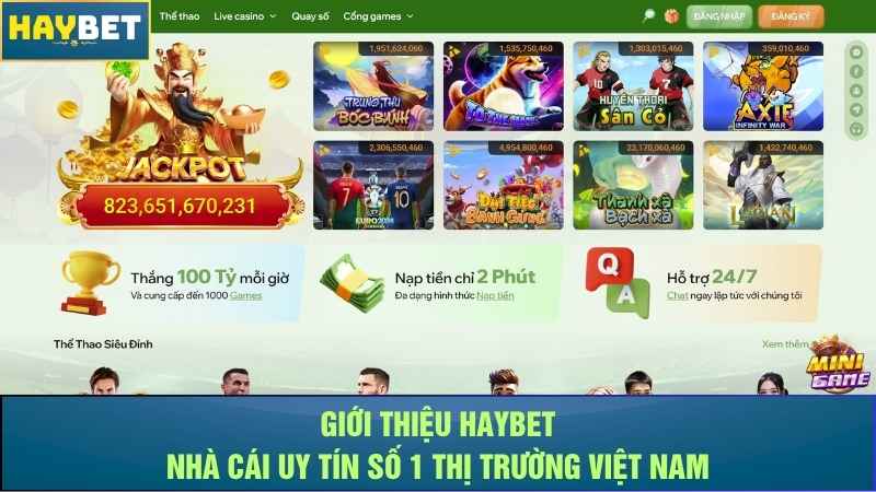 Giới Thiệu Haybet - Nhà Cái Uy Tín Số 1 Thị Trường Việt Nam