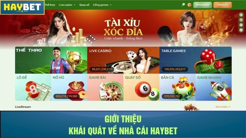 Giới thiệu khái quát về nhà cái Haybet Giới thiệu khái quát về nhà cái Haybet