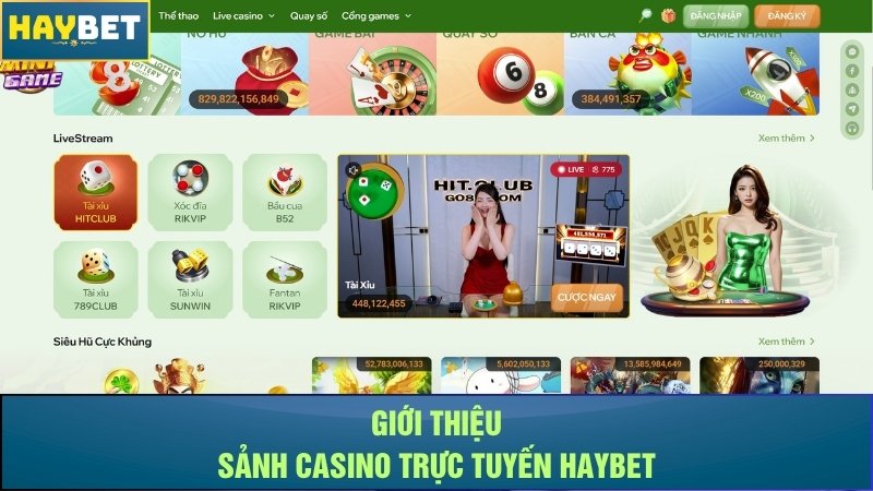 Giới thiệu sảnh casino trực tuyến Haybet Giới thiệu sảnh casino trực tuyến Haybet