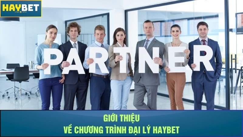 Giới thiệu về chương trình đại lý Haybet Giới thiệu về chương trình đại lý Haybet