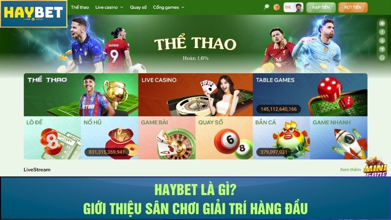 Haybet là gì? Giới thiệu sân chơi giải trí hàng đầu Haybet là gì? Giới thiệu sân chơi giải trí hàng đầu