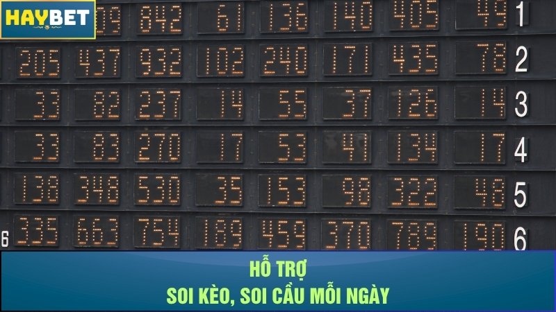 Hỗ trợ soi kèo, soi cầu mỗi ngày Hỗ trợ soi kèo, soi cầu mỗi ngày