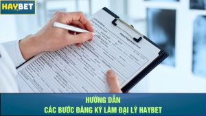 Hướng dẫn các bước đăng ký làm đại lý Haybet
