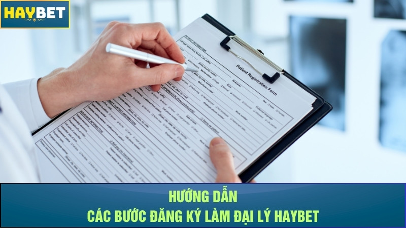 Hướng dẫn các bước đăng ký làm đại lý Haybet Hướng dẫn các bước đăng ký làm đại lý Haybet