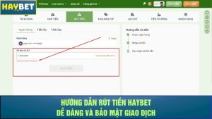 Hướng Dẫn Rút Tiền Haybet Dễ Dàng Và Bảo Mật Giao Dịch