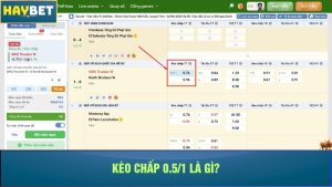 Kèo chấp 0.5/1 là gì?