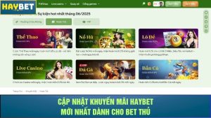 Cập nhật khuyến mãi Haybet mới nhất dành cho bet thủ