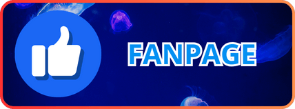 Liên hệ fanpage Haybet