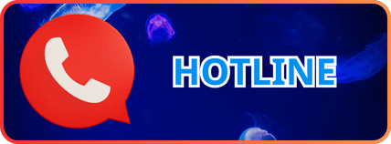 Liên hệ hotline Haybet