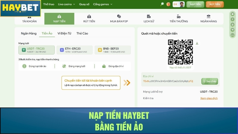 Nạp tiền Haybet bằng tiền ảo Nạp tiền Haybet bằng tiền ảo
