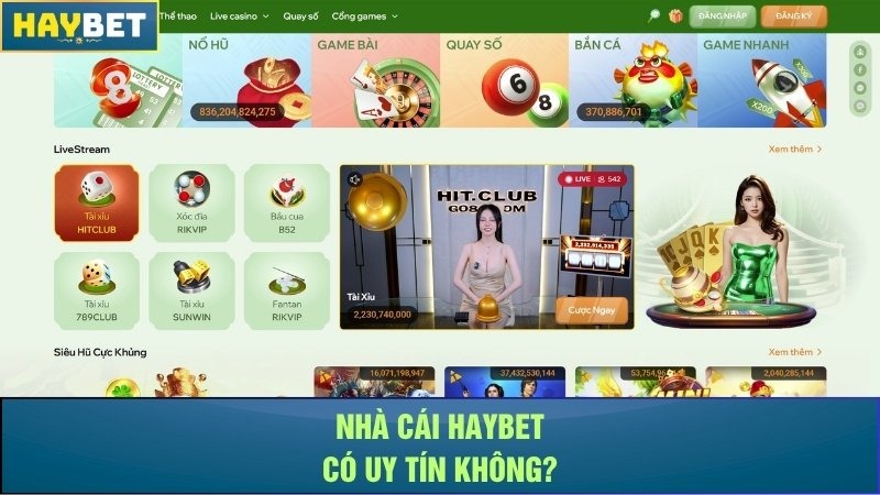 Nhà cái Haybet có uy tín không? Nhà cái Haybet có uy tín không?
