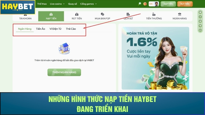 Những hình thức nạp tiền Haybet đang triển khai Những hình thức nạp tiền Haybet đang triển khai