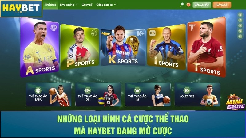 Những loại hình cá cược thể thao mà Haybet đang mở cược Những loại hình cá cược thể thao mà Haybet đang mở cược