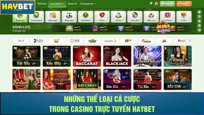Những thể loại cá cược trong casino trực tuyến Haybet Những thể loại cá cược trong casino trực tuyến Haybet