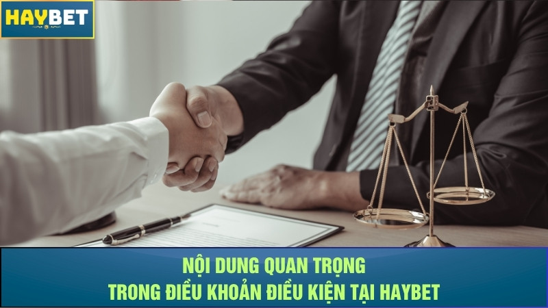 Nội dung quan trọng trong điều khoản điều kiện tại Haybet Nội dung quan trọng trong điều khoản điều kiện tại Haybet