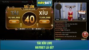 Tài xỉu live Haybet là gì?