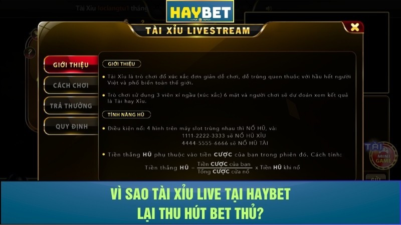 Vì sao tài xỉu live tại Haybet lại thu hút bet thủ? Vì sao tài xỉu live tại Haybet lại thu hút bet thủ?
