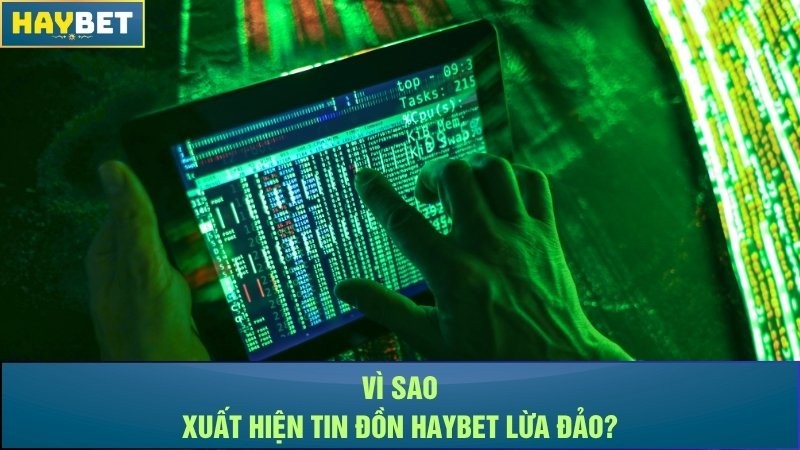 Vì sao xuất hiện các tin đồn nhà cái Haybet lừa đảo cá cược? Vì sao xuất hiện các tin đồn nhà cái Haybet lừa đảo cá cược?