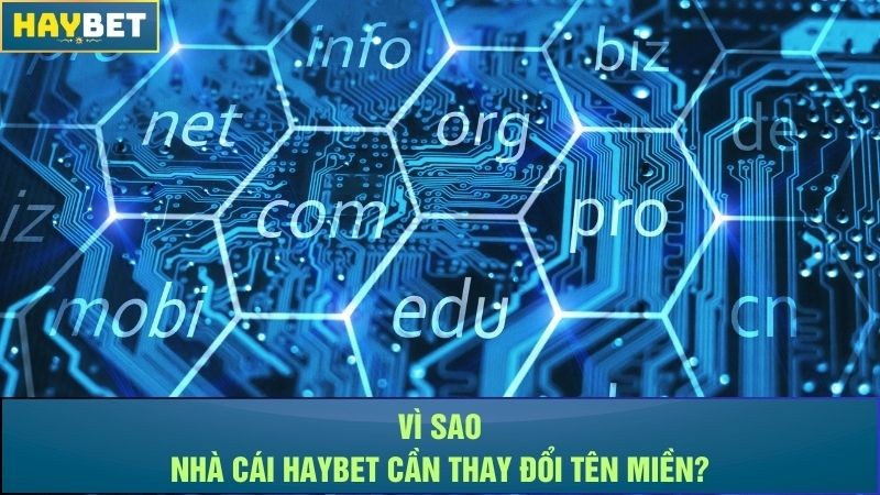 Vì sao nhà cái Haybet cần thay đổi tên miền? Vì sao nhà cái Haybet cần thay đổi tên miền?
